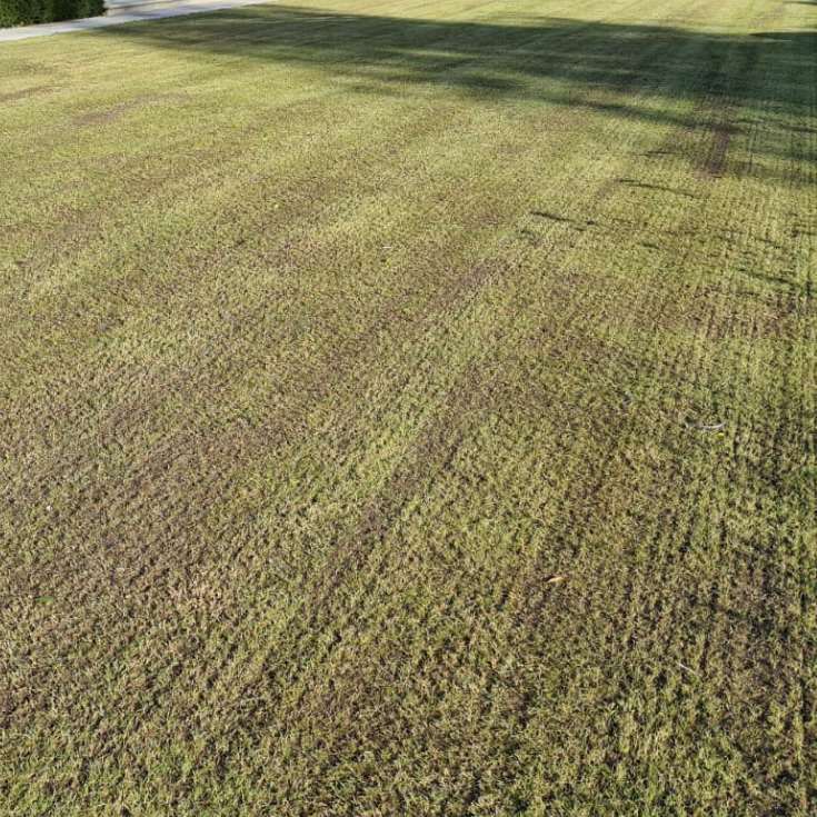 Top Dressing Aftercare Advice | Lawntech Top Dressing Aftercare Advice | Lawntech
