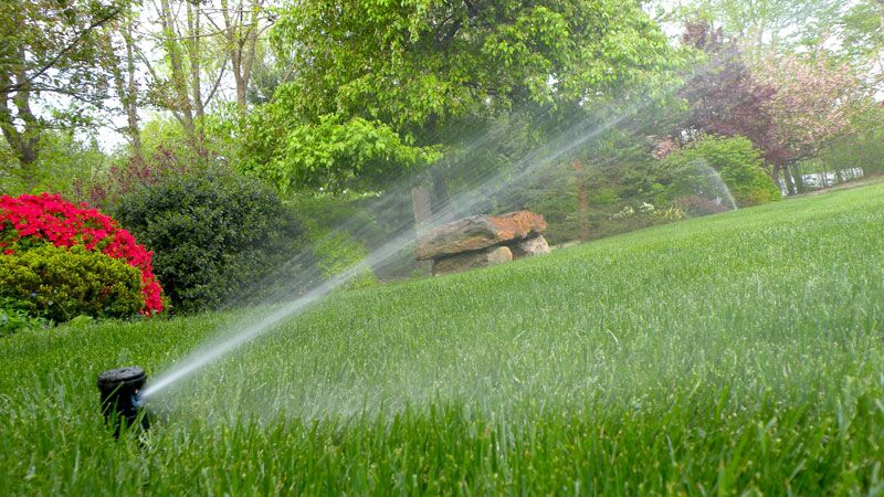 The golden rules when watering your lawn!