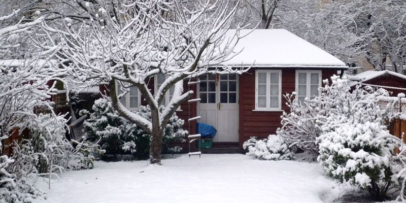 Snow covering shed and lawn