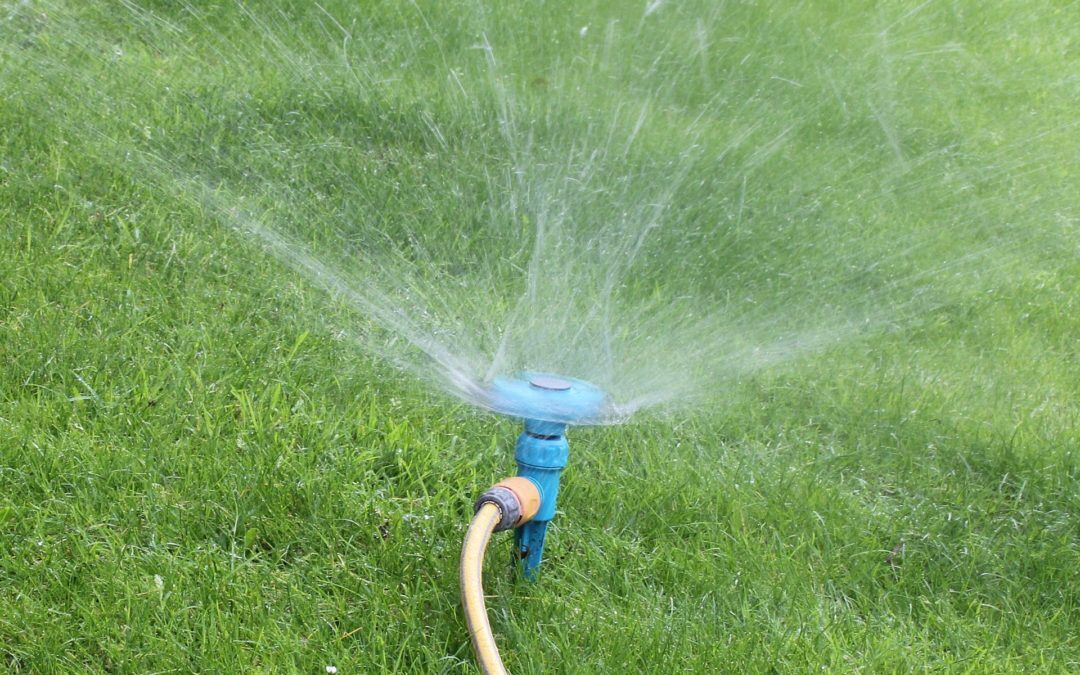 Preparing your lawn for the Summer