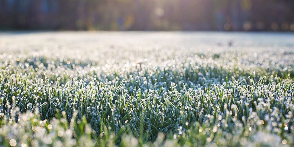 Close up of frost covered lawn