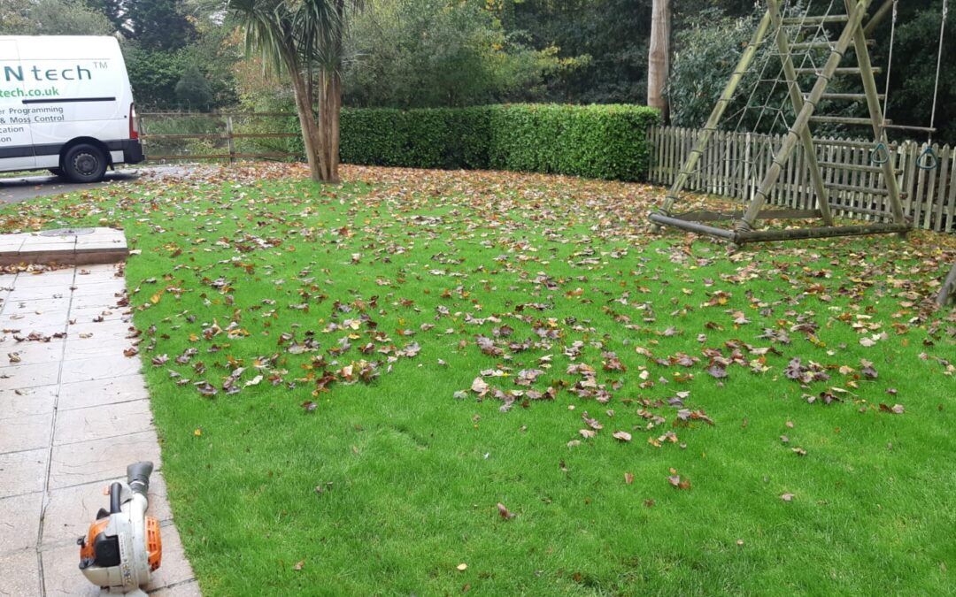 Don’t let leaves ruin your lawn!