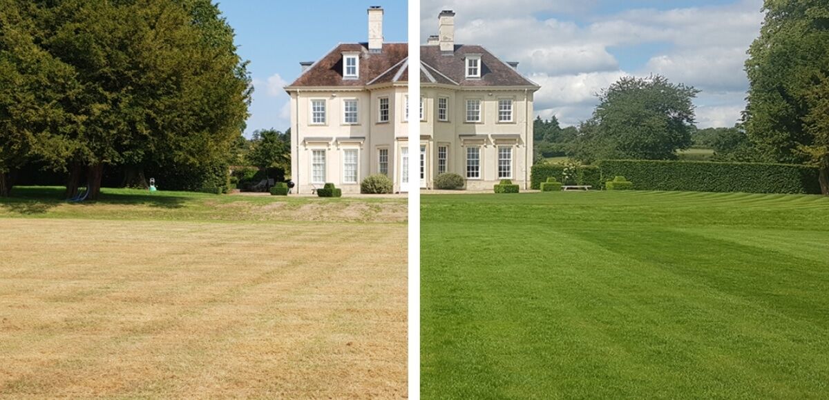 Before and after of damaged lawn and healthy lawn