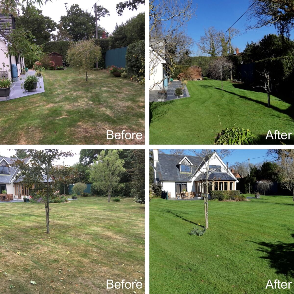 Images of damaged lawns and healthy lawns