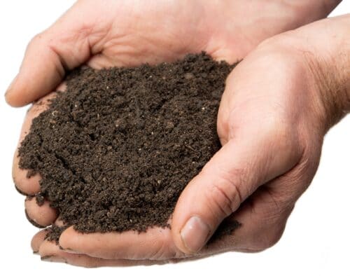 Pile of soil in hands