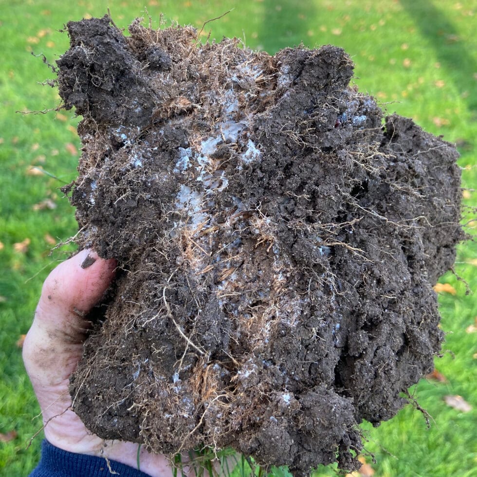 Close up of dry clump of soil in hand