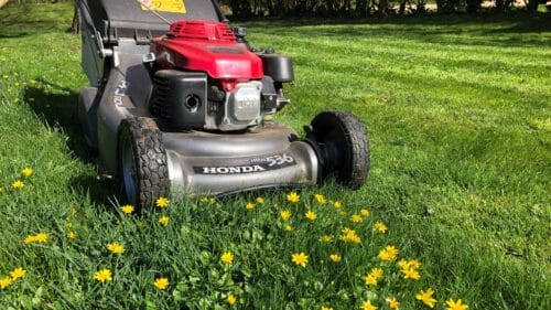 Rotary mower mowing a lawn