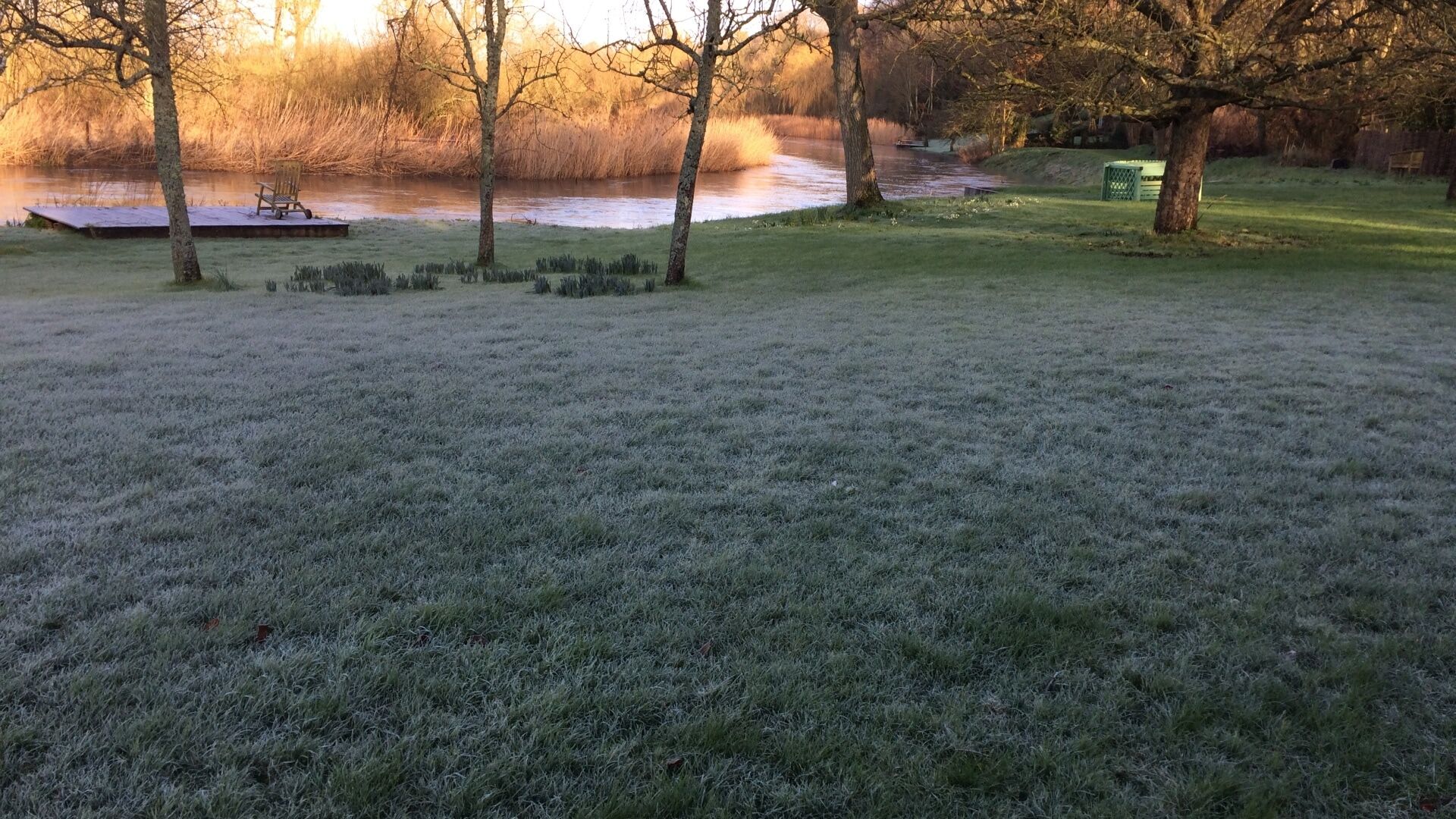 Frost covering lawn next to river