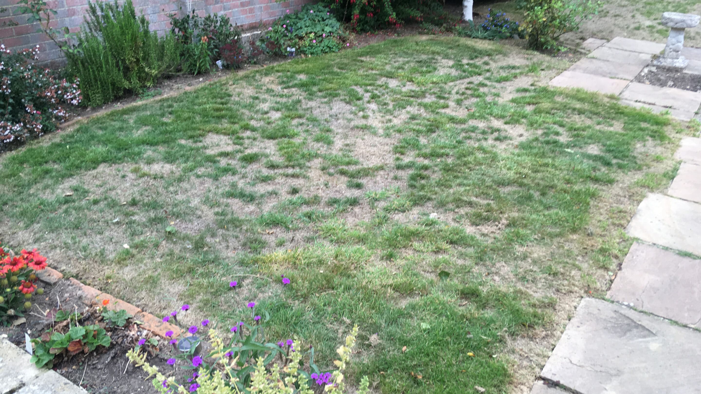 Dry patches on lawn