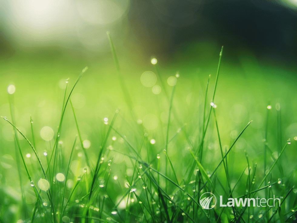 Lawntech Natural Rainwater for your lawn