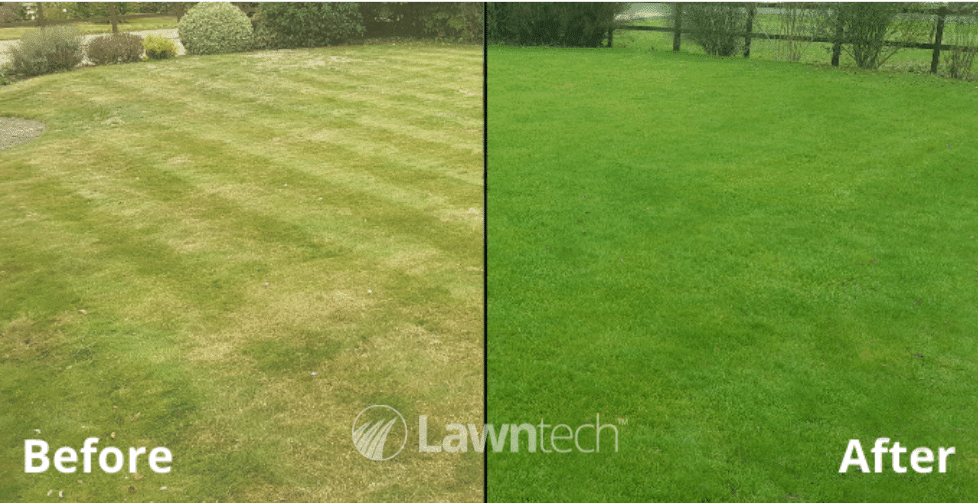How to fix a tired, thatchy or diseased lawn this autumn