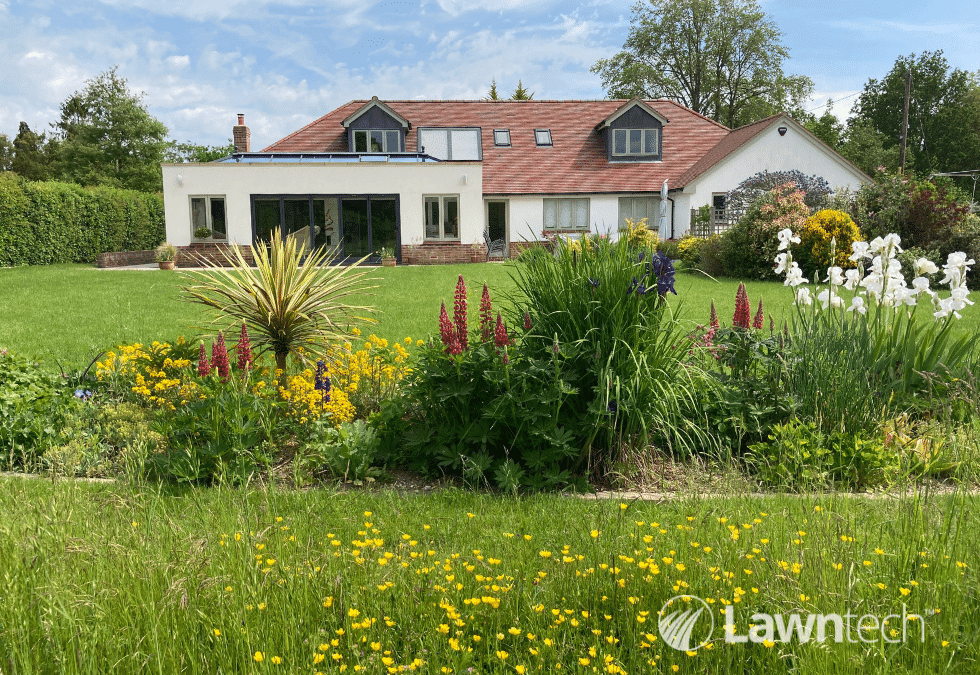 Do we really need lawns?