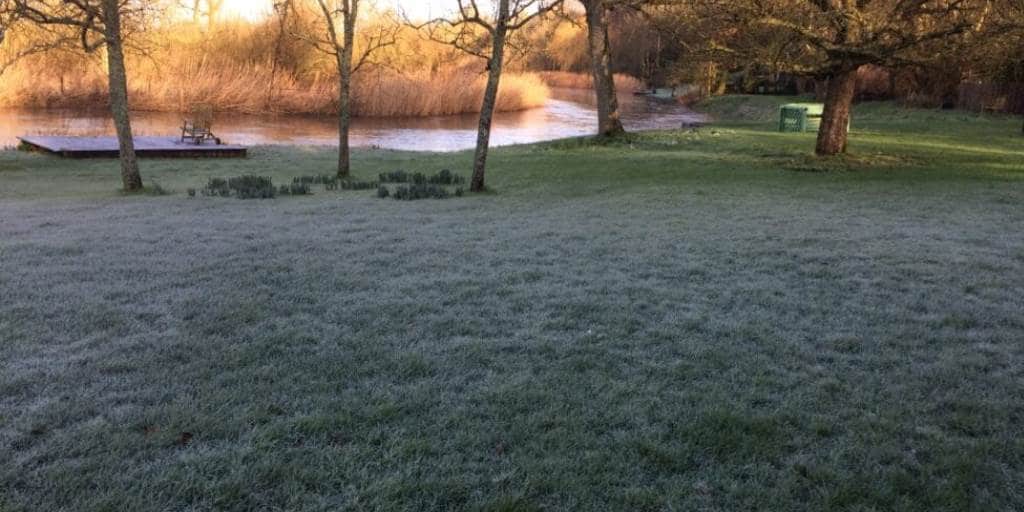 Frost covering lawn next to river