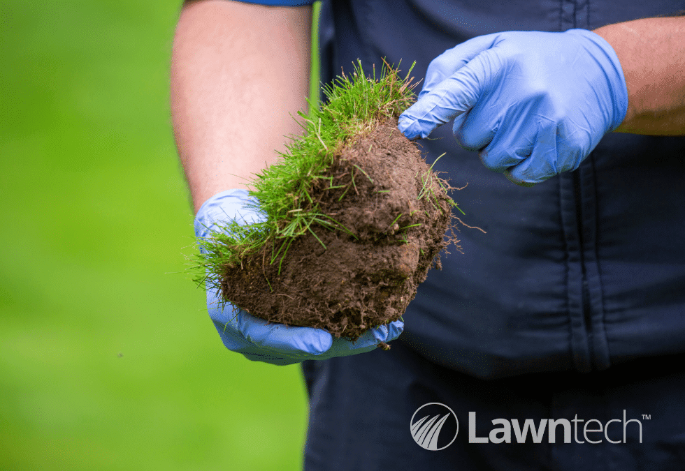 Can a soil test benefit my lawn?