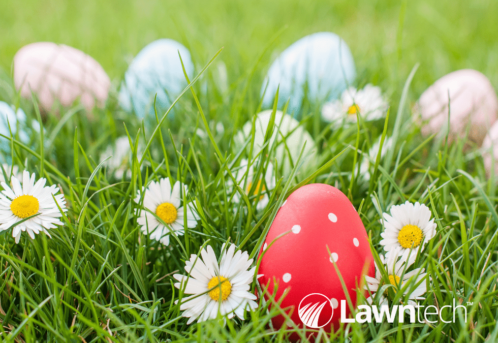 Egg-citing Garden Activities for Easter