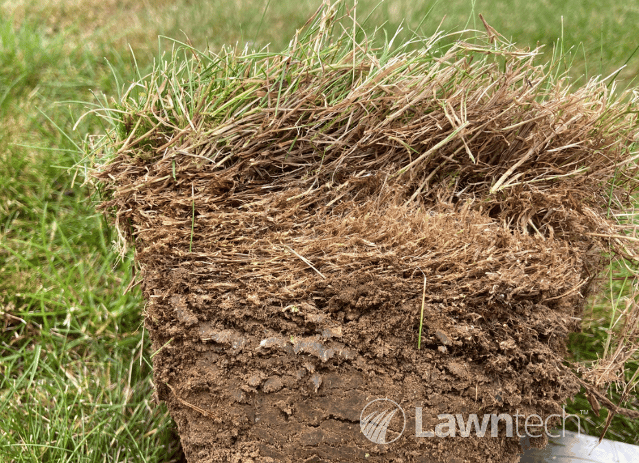 Why do we need to manage thatch levels in our lawn?