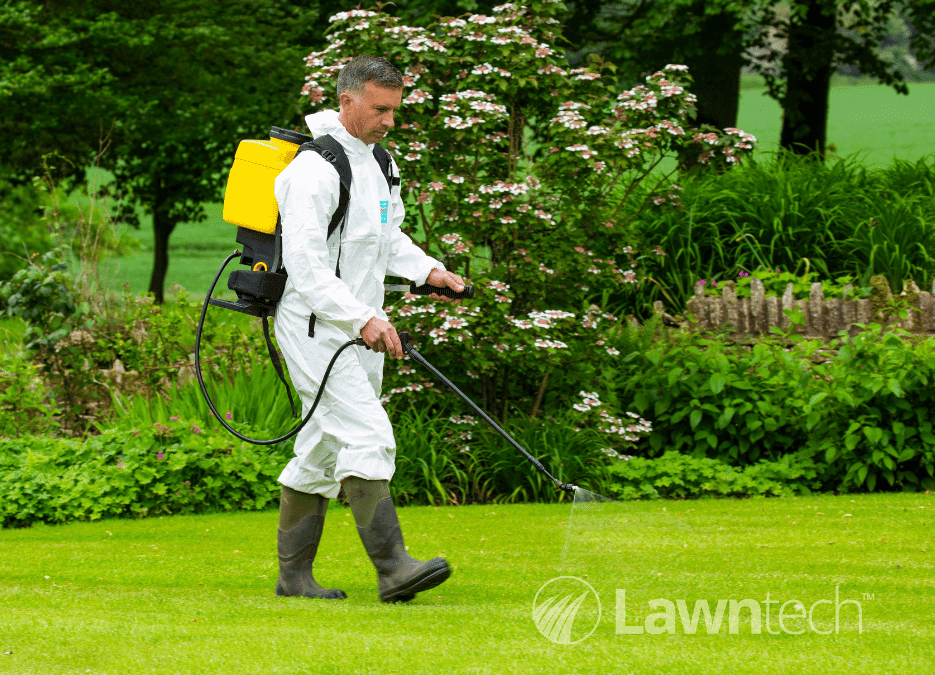 Control of lawn weeds