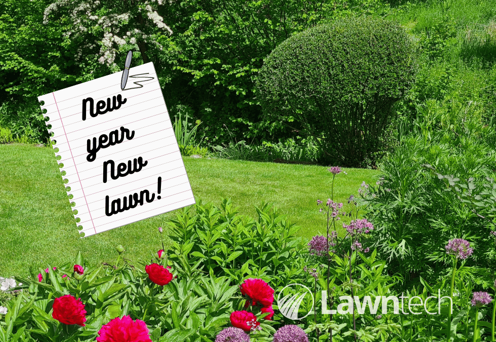 New Year’s resolutions for your lawn