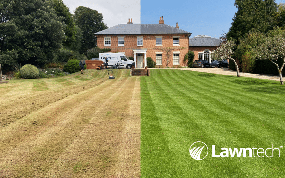 Transform Your Lawn This Autumn With Our SOS Total Lawn Makeover
