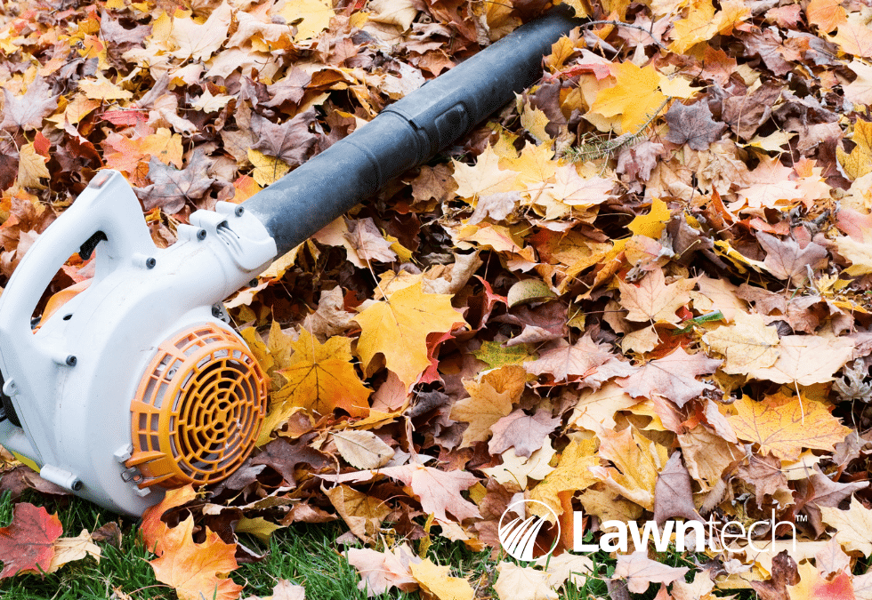 Best Leaf Blowers For Your Lawn 2023