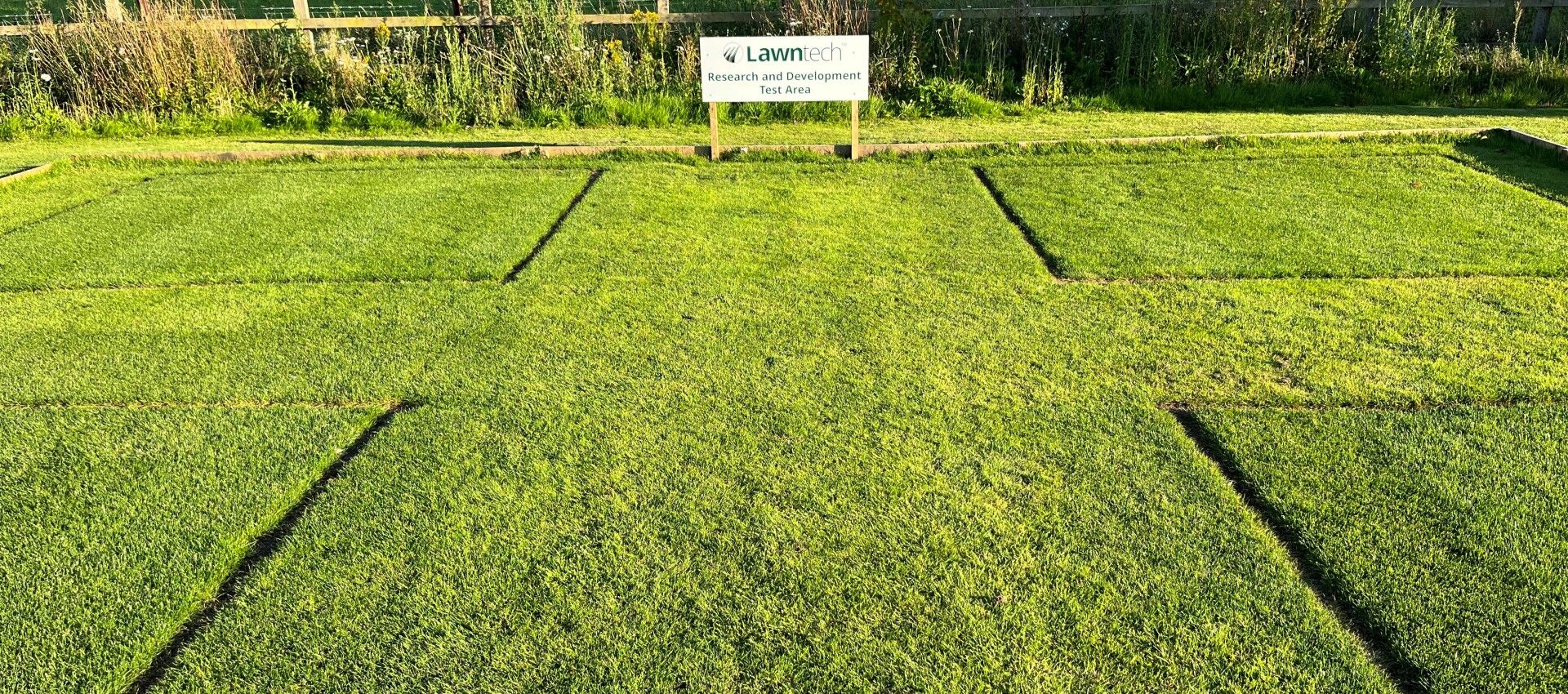 Lawn divided into grids with a 'test area' sign on it