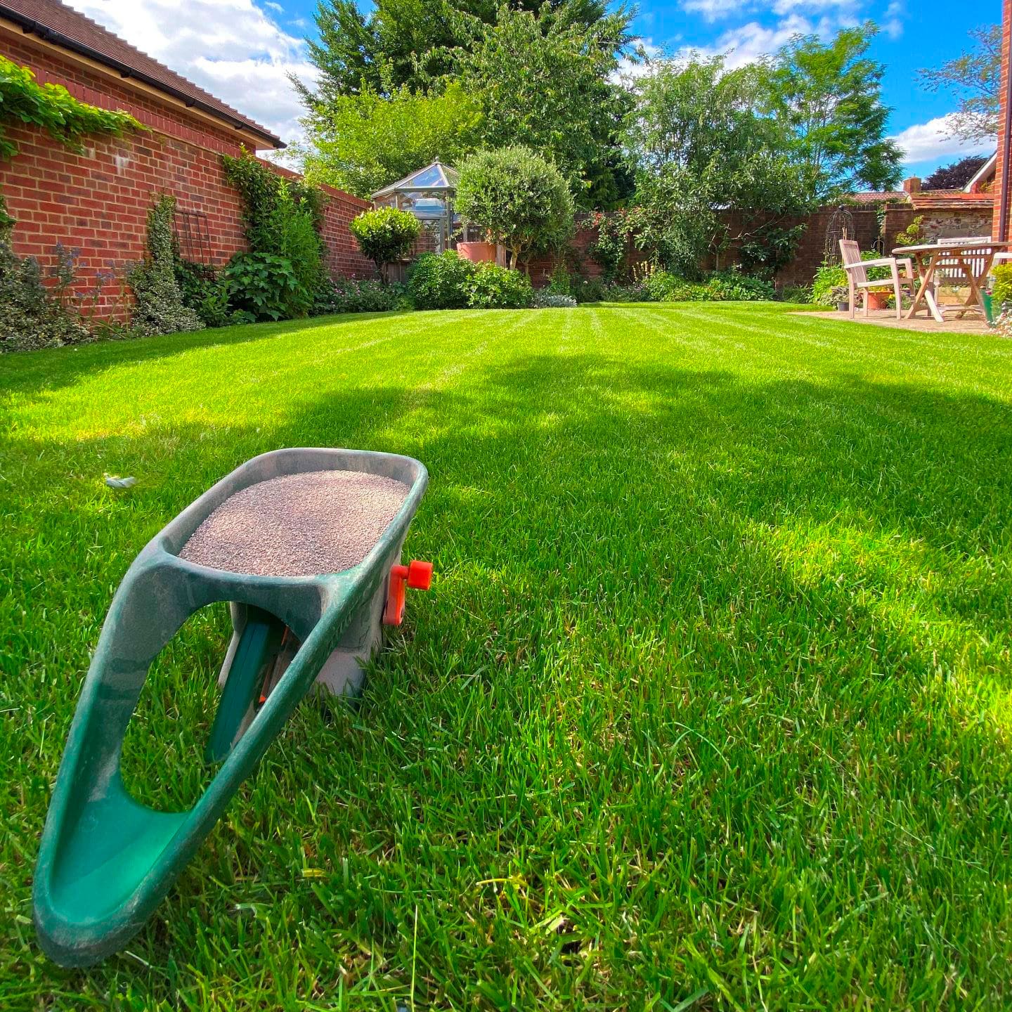 A wheelbarrow with fertiliser ready to apply to a lawn