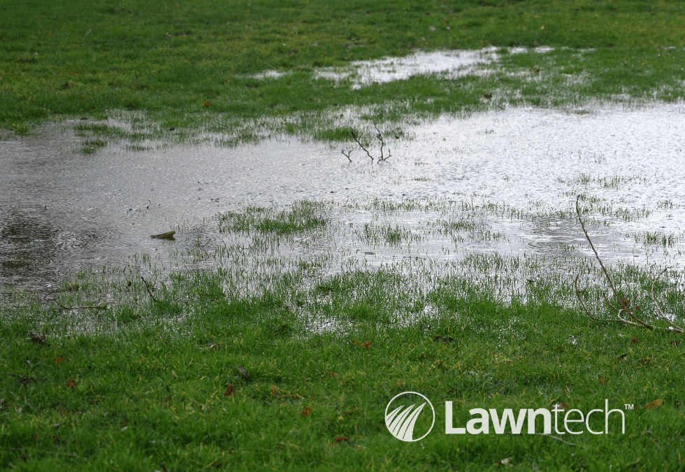 Can I Fix A Waterlogged Lawn?