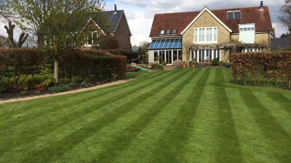 Stripes mowed in lawn outside house