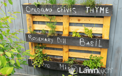 Grow Your Own Garden Herbs